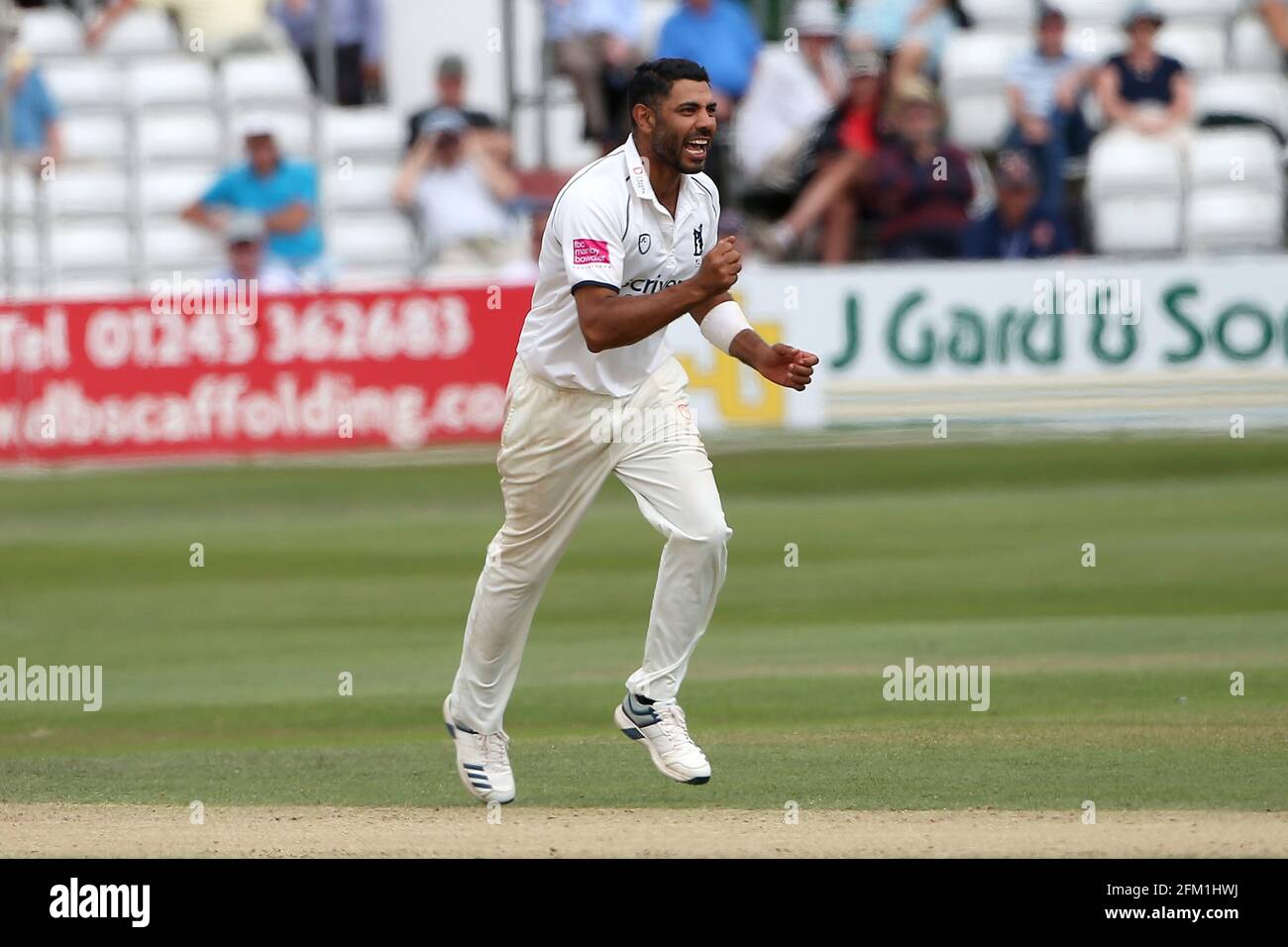 Jeetan Patel of Essex celebrates taking the wicket of Adam Wheater during Essex CCC vs Warwickshire CCC, Specsavers County Championship Division 1 Cri Stock Photo