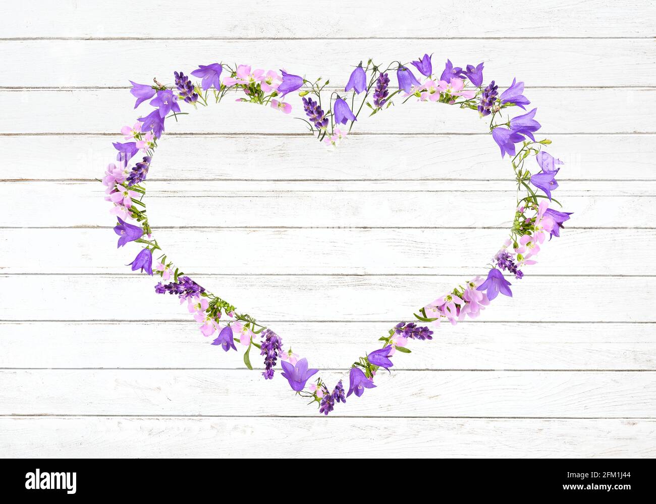 Bellflowers and meadow flowers as a heart frame Stock Photo