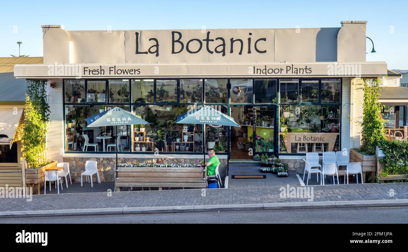Man sitting outside of La Botanic florist and coffee shop Albany Western Australia. Stock Photo