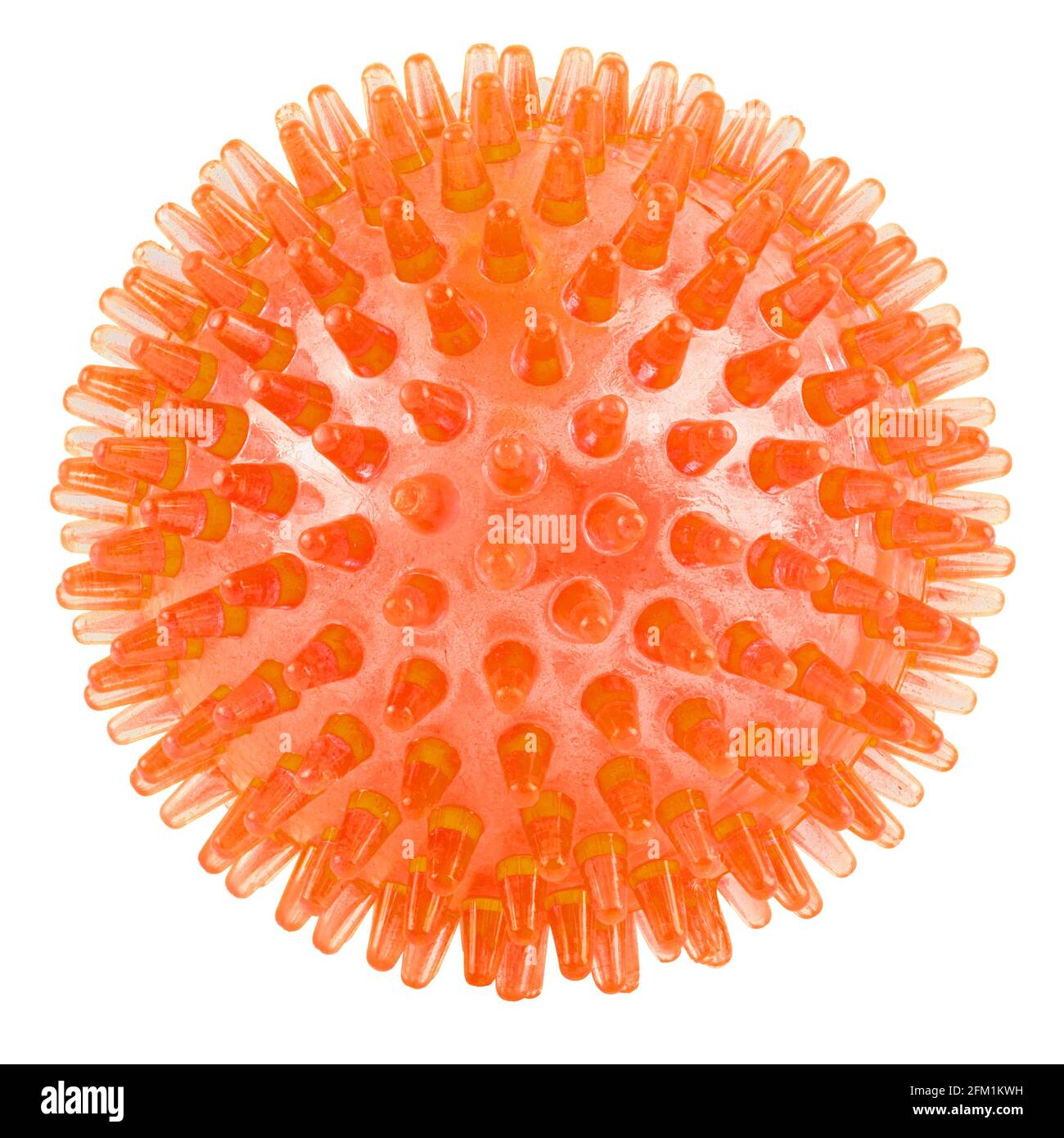 Orange ball for clearance dogs