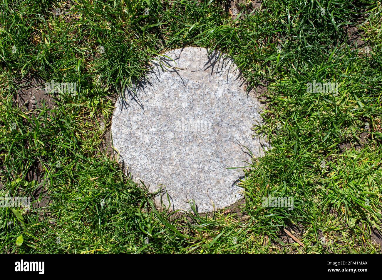 One round stepping stone in grass at backyard Stock Photo Alamy
