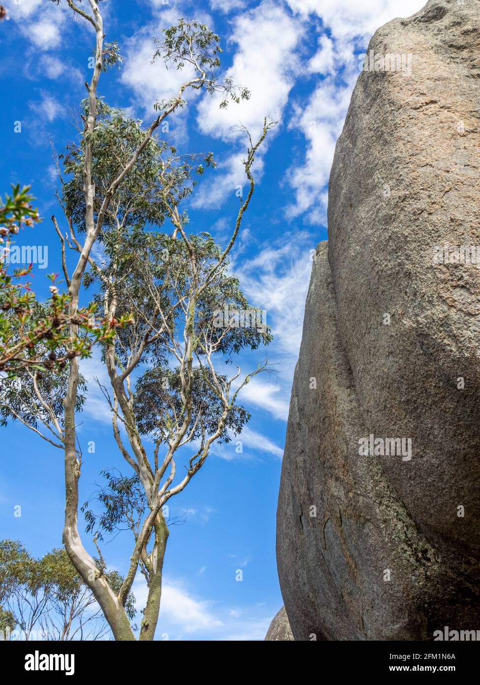 Castle Rock Perth Large granite boulder on Castle Rock Walk Trail Porongurup National ...