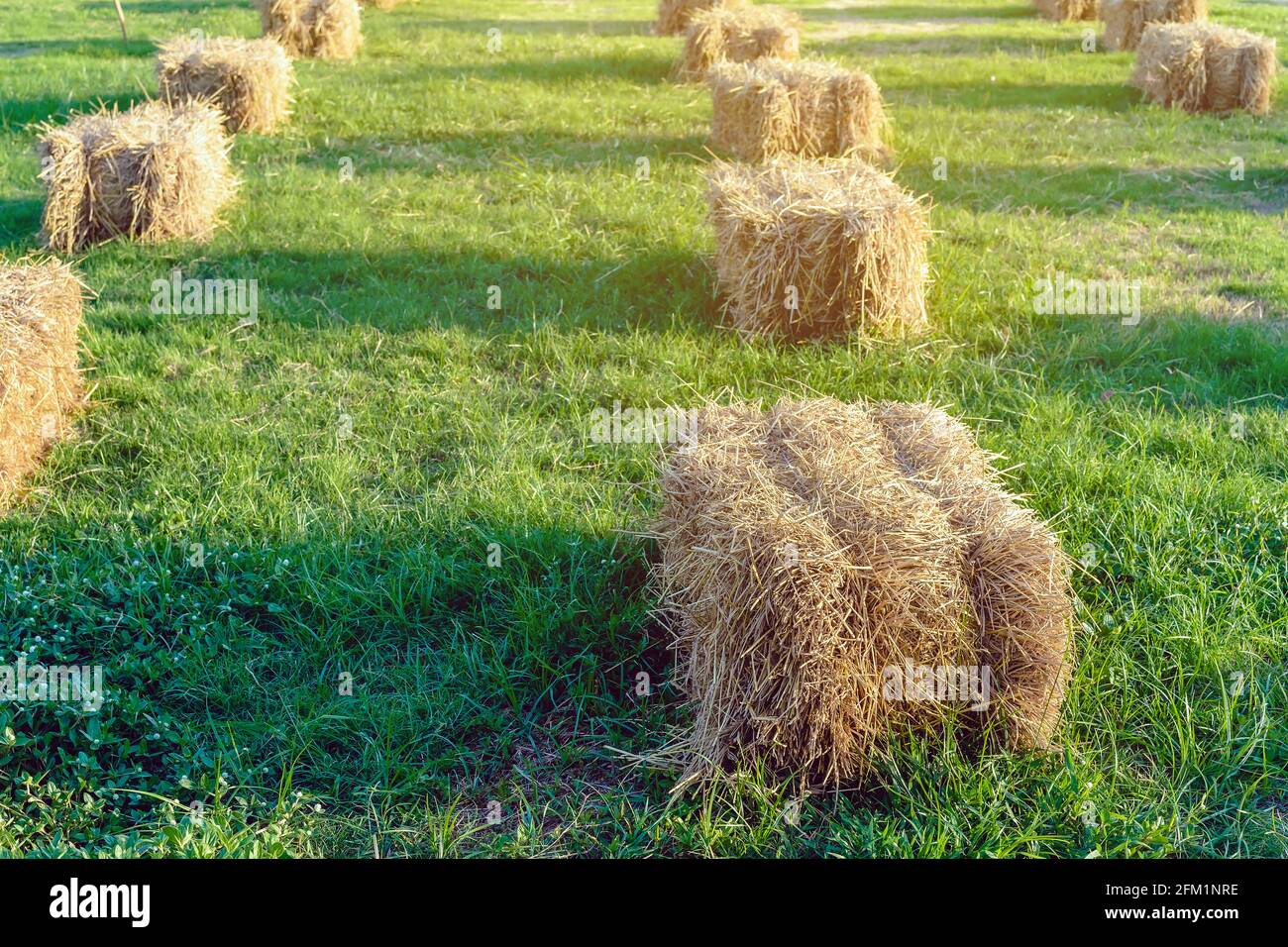 Seats and tables made from straw bales for event and party laid on lawn