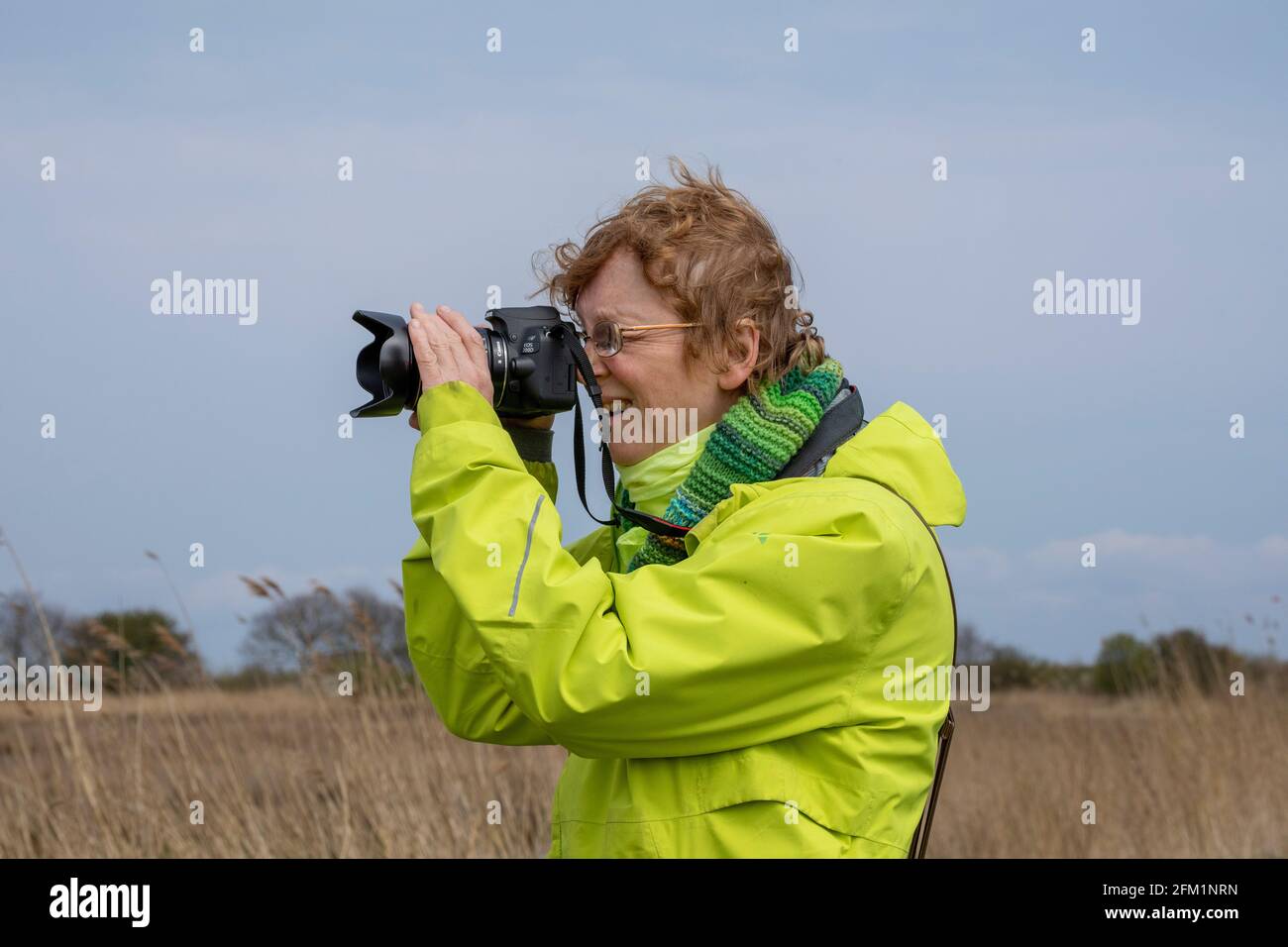 woman taking photo, Gelting Birk Nature Reserve, Gelting Bay, Schleswig-Holstein, Germany Stock Photo