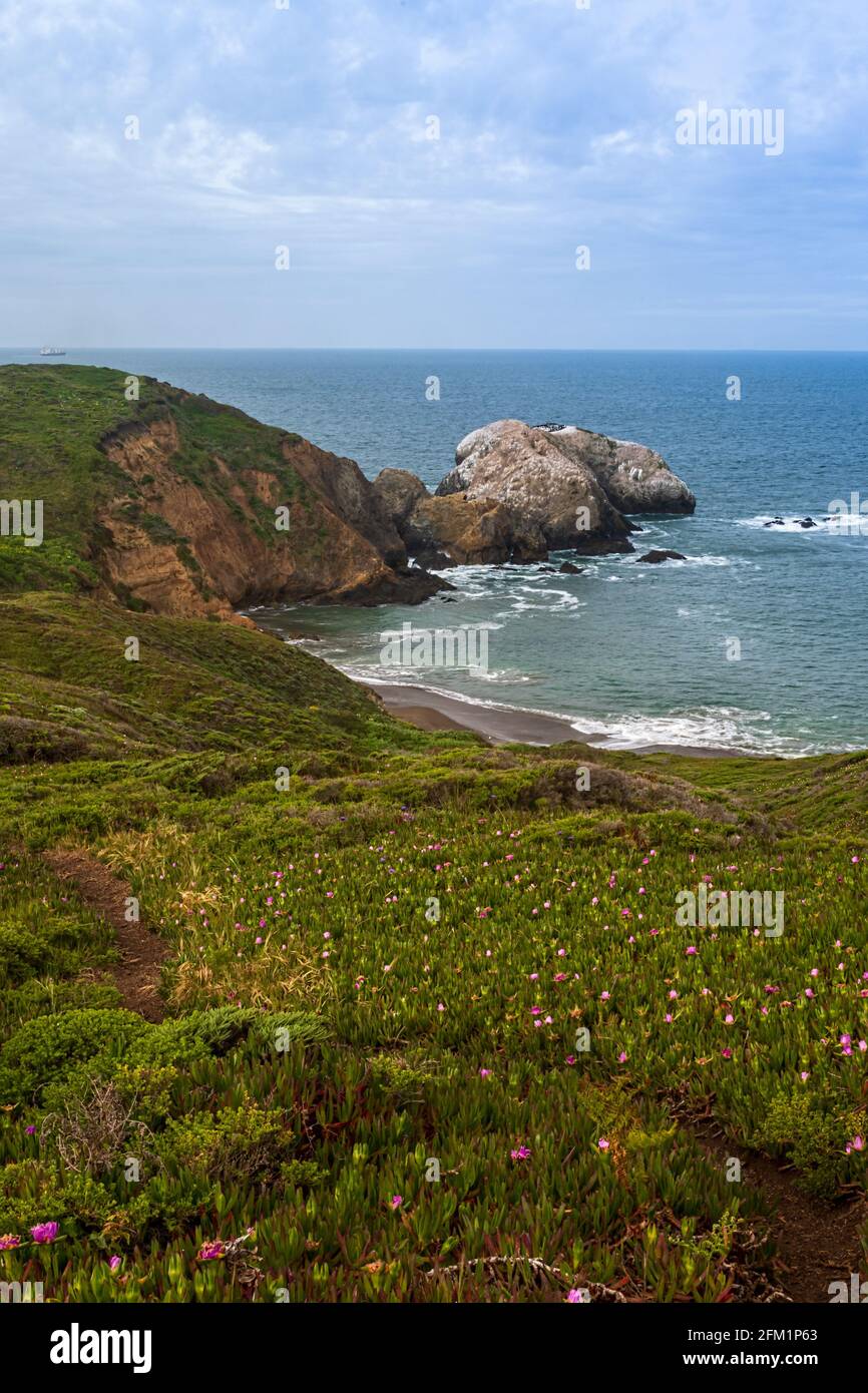 Shoreline at South Rodeo Beach, California, USA, in Sausalito's Marin Headlands recreation area on a partly cloudy sky with lots of copy space- long e Stock Photo