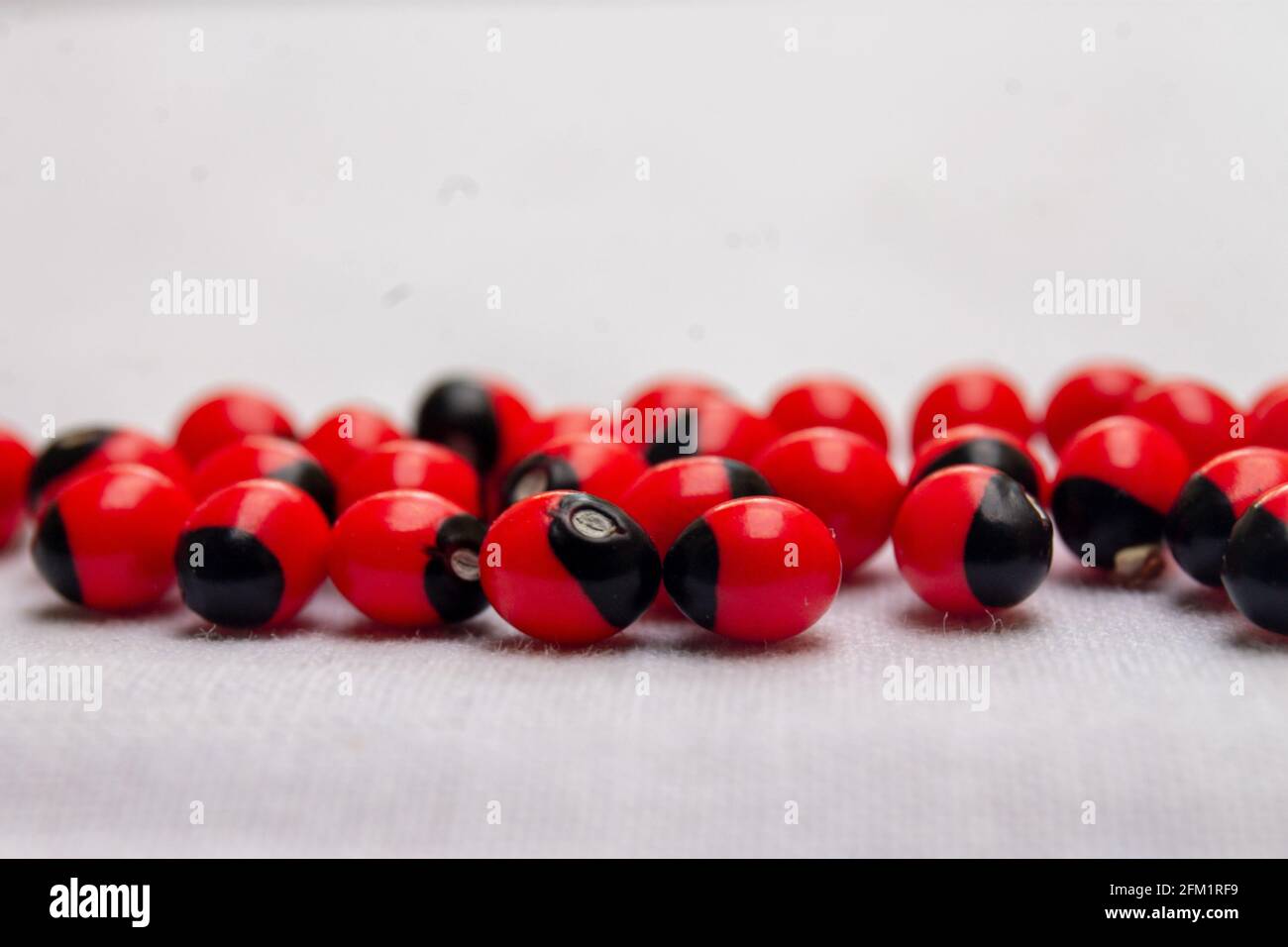 Selective focus shot of rosary peas on a plain white background Stock Photo