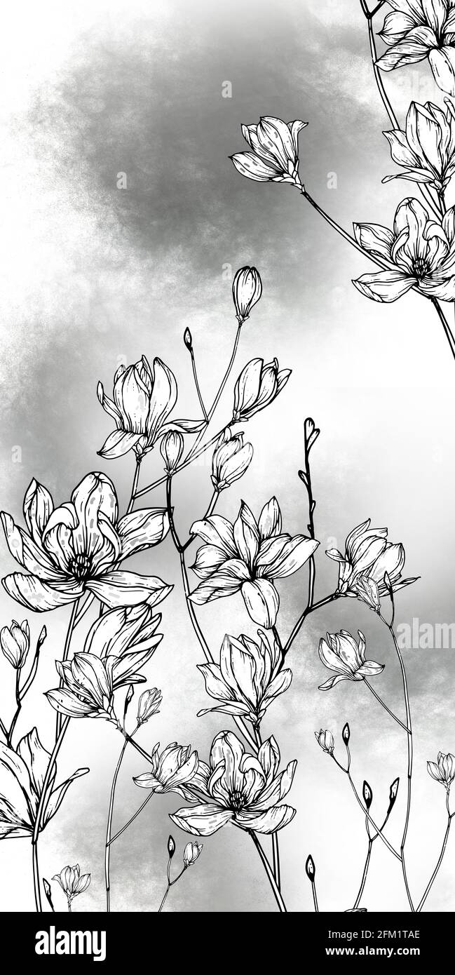 Monochrome flowering branches of magnolia on gray spotted background Stock Photo