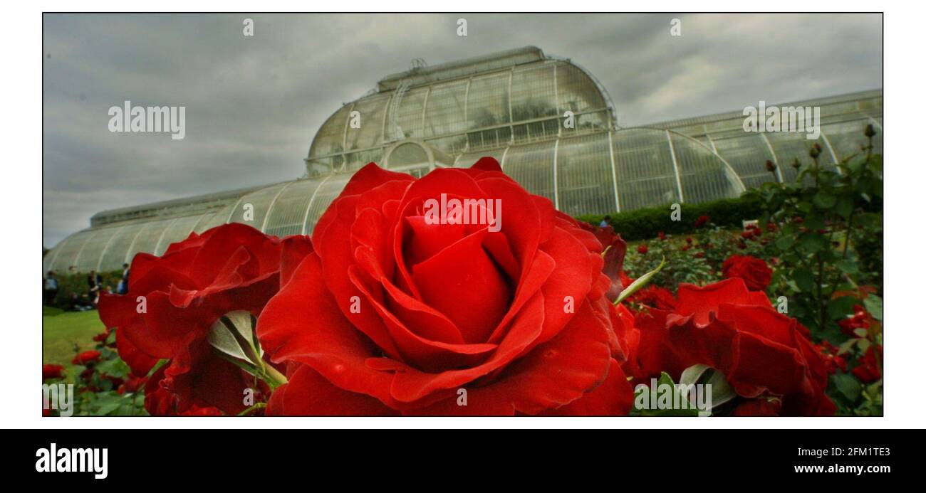 World botanic gardens Cut Out Stock Images & Pictures - Alamy