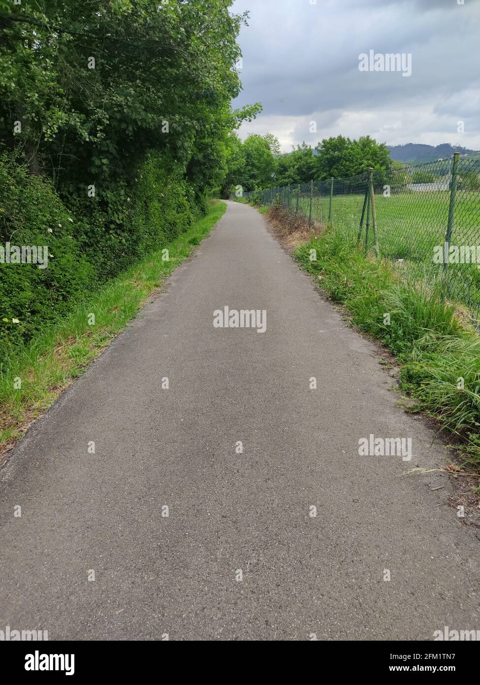 Asphalte road leads to the rural village Stock Photo