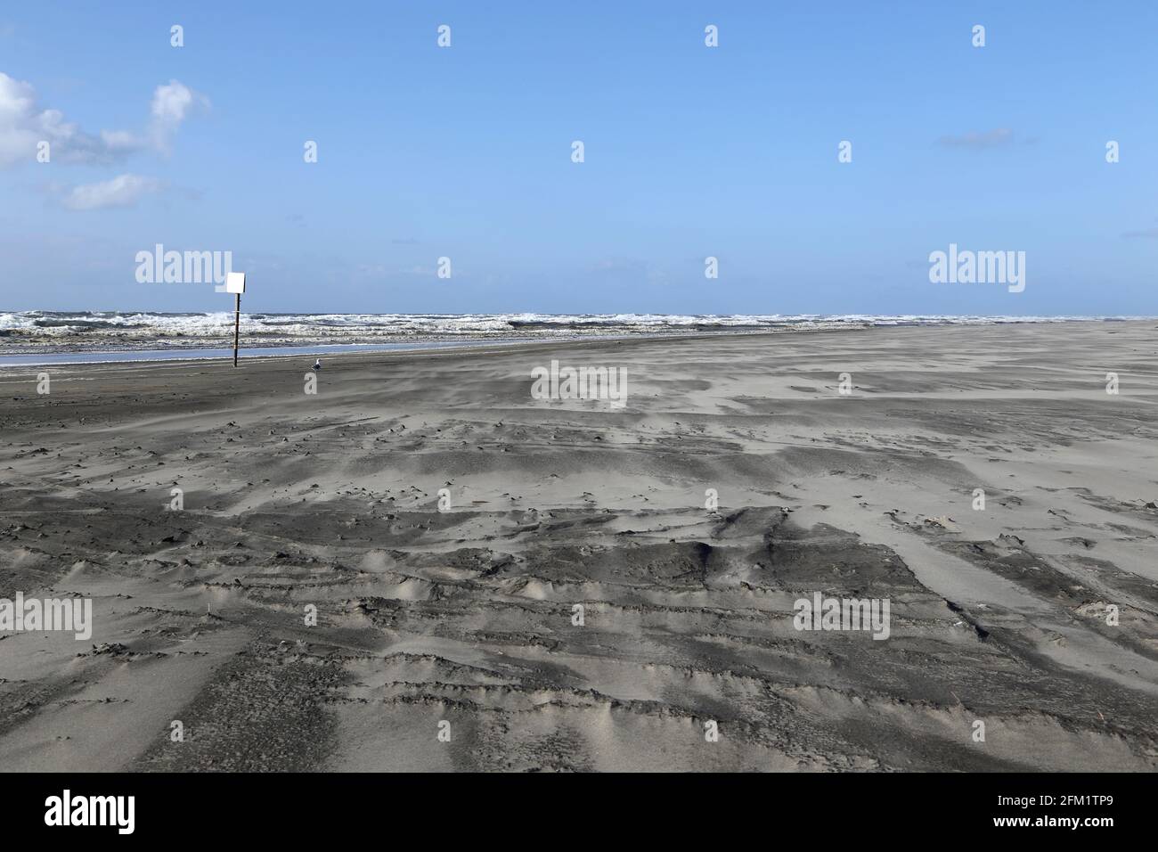 Pacific northwest Coast at autumn Stock Photo