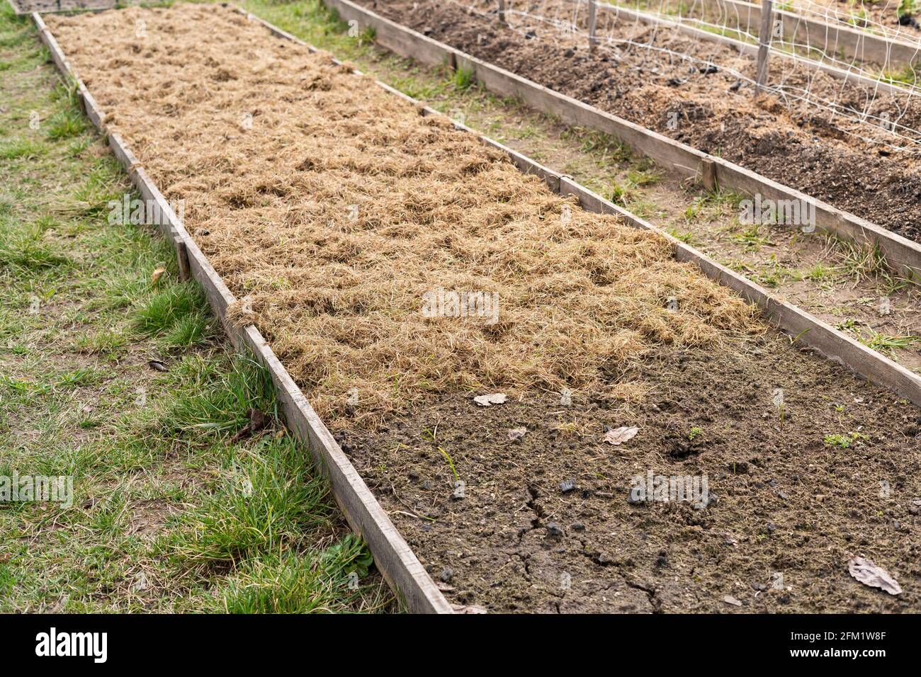 A bed before and after mulch coverage. Reuse of dry grass in
