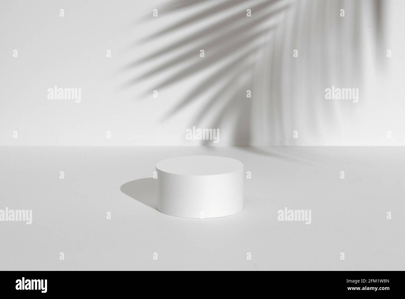 White Product Photography Base Background Mockup Template Stock Photo