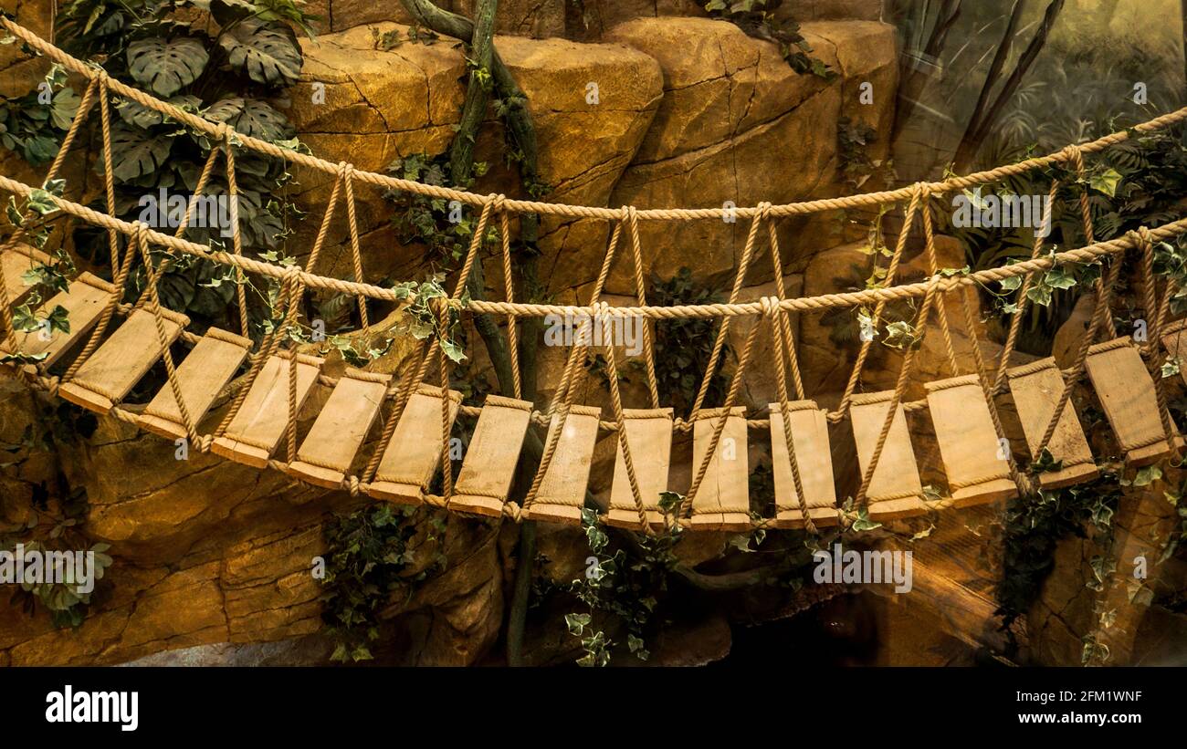 Suspension bridge in the jungle. Adventure wooden rope suspension