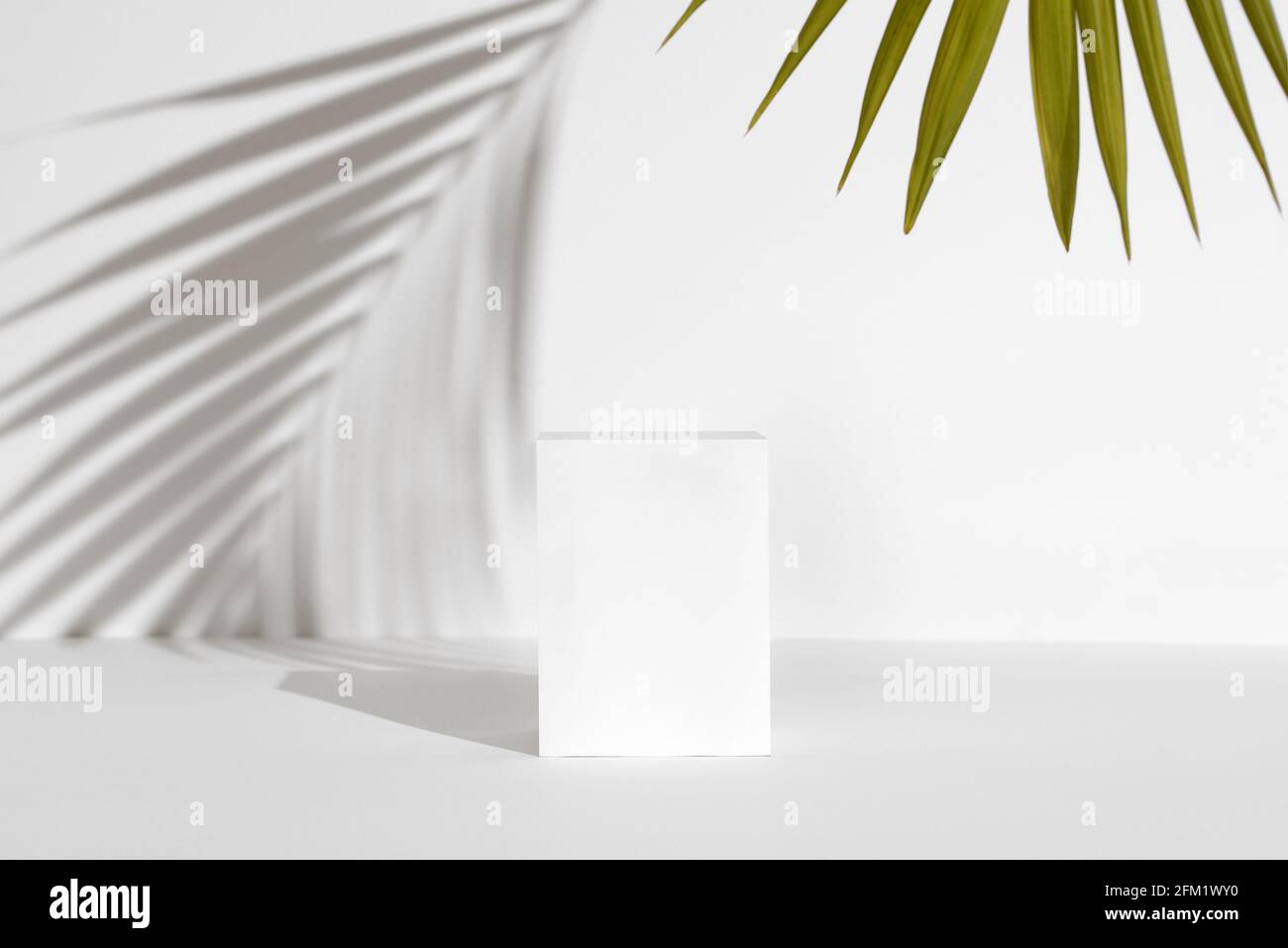 White Product Photography Base Background Mockup Template Stock Photo