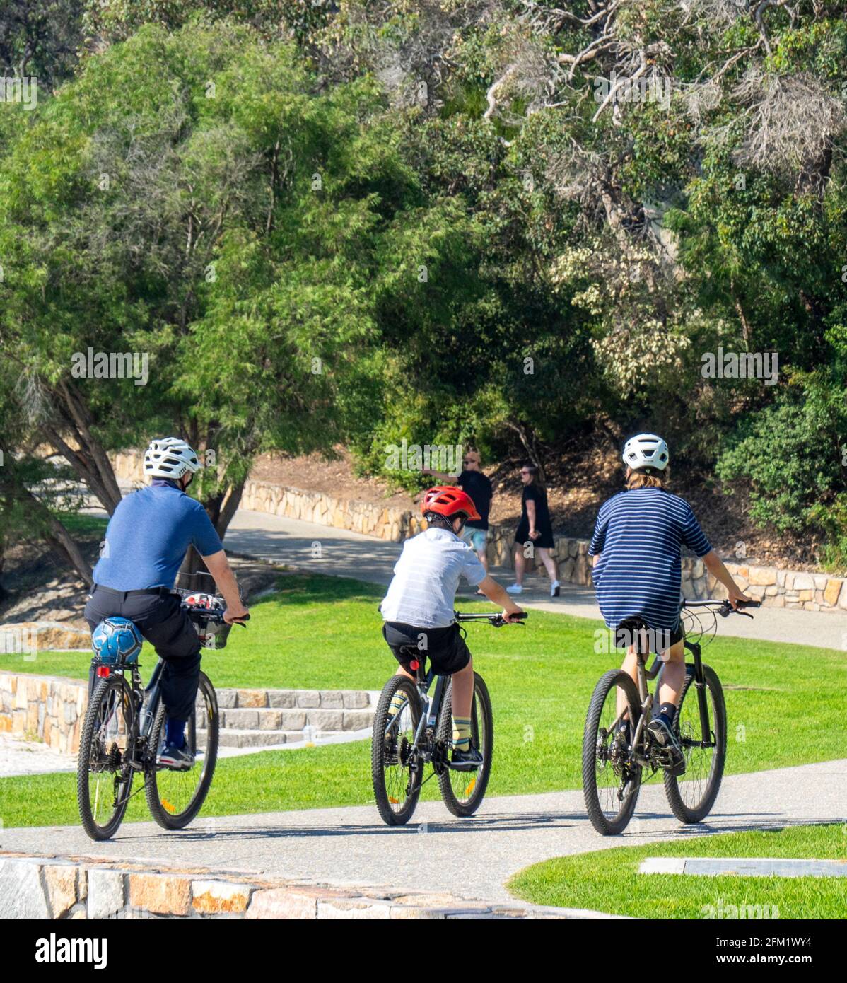 Father and two sons riding their bicycles on a path on Middleton Beach, Ellen Cove, Albany Western Australia. Stock Photo