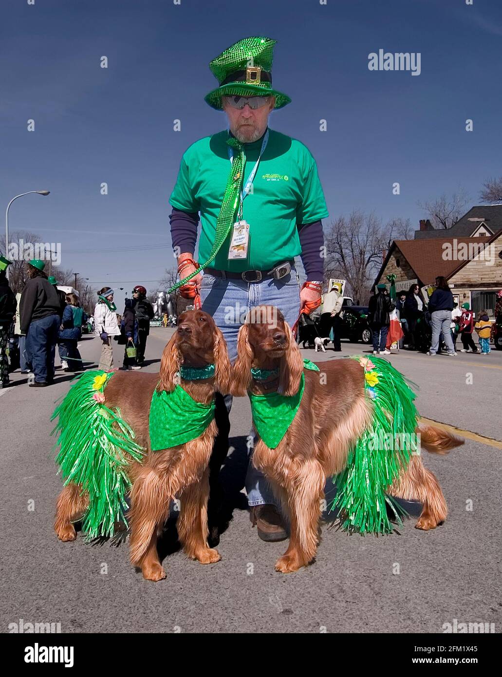 Activities at a Saint Patrick's Day Parade in Port Huron, Michigan male with irish setters dressed in green Stock Photo