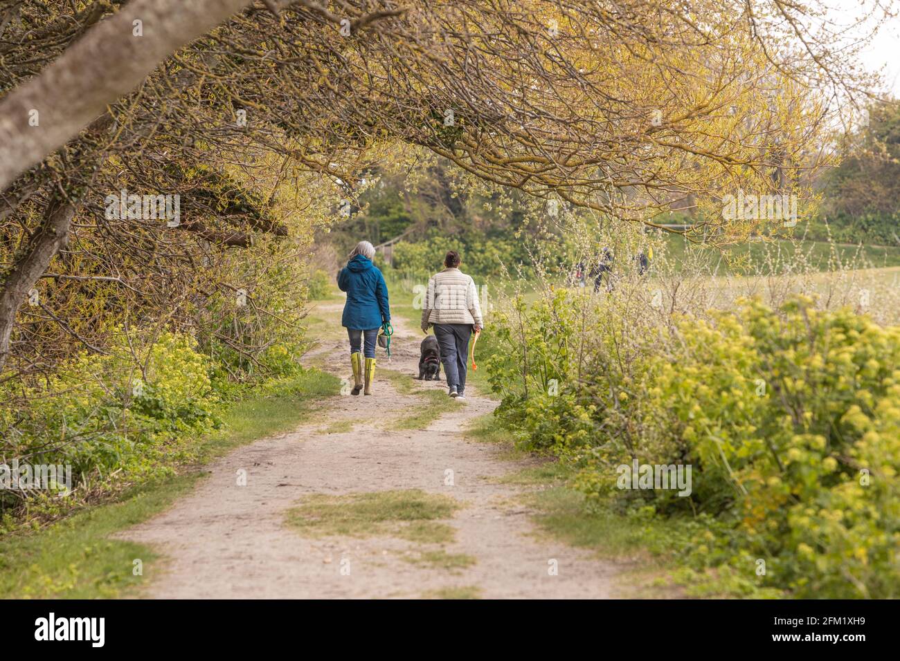 Two lady dog walkers on a country pathway Stock Photo