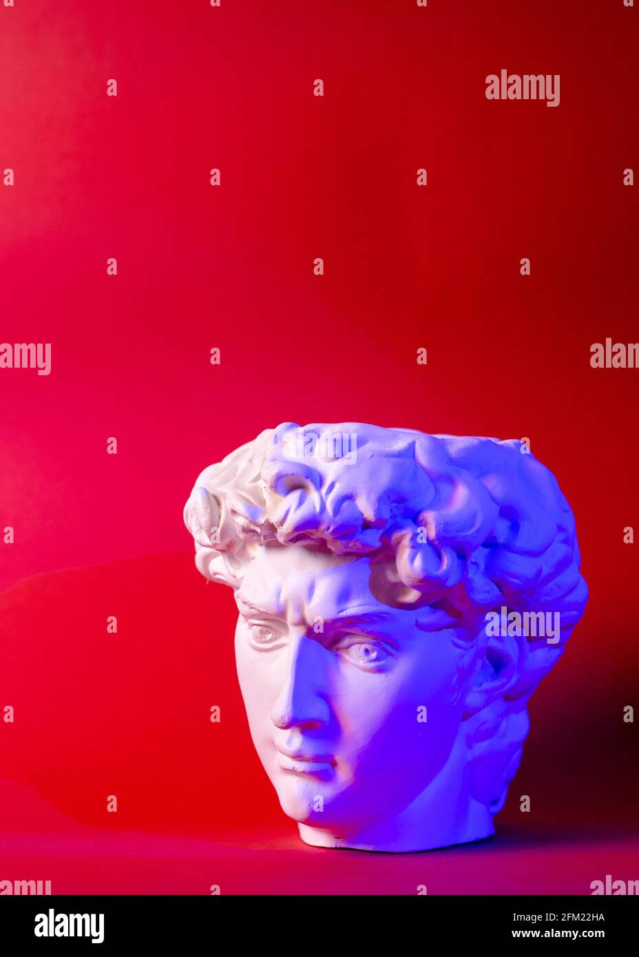 Gypsum statue of David's head. Michelangelo's David statue plaster copy