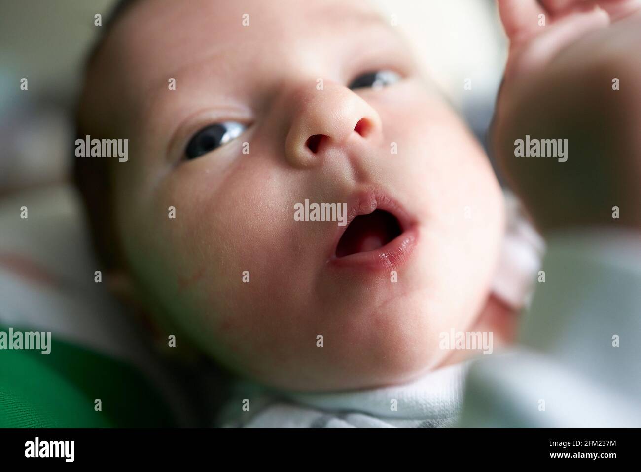 Face of a cute newborn baby Stock Photo