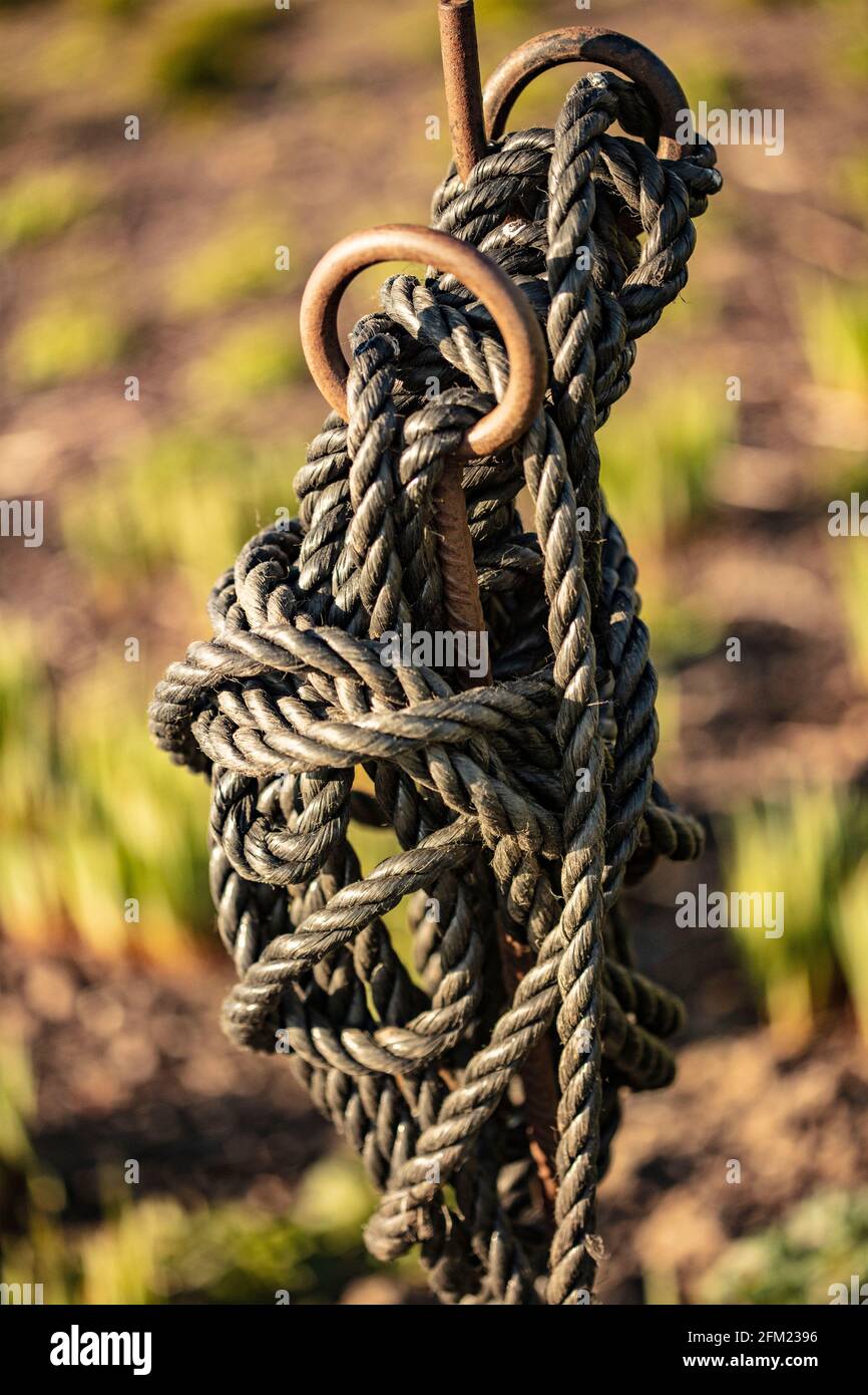 Coiled structures hi-res stock photography and images - Alamy