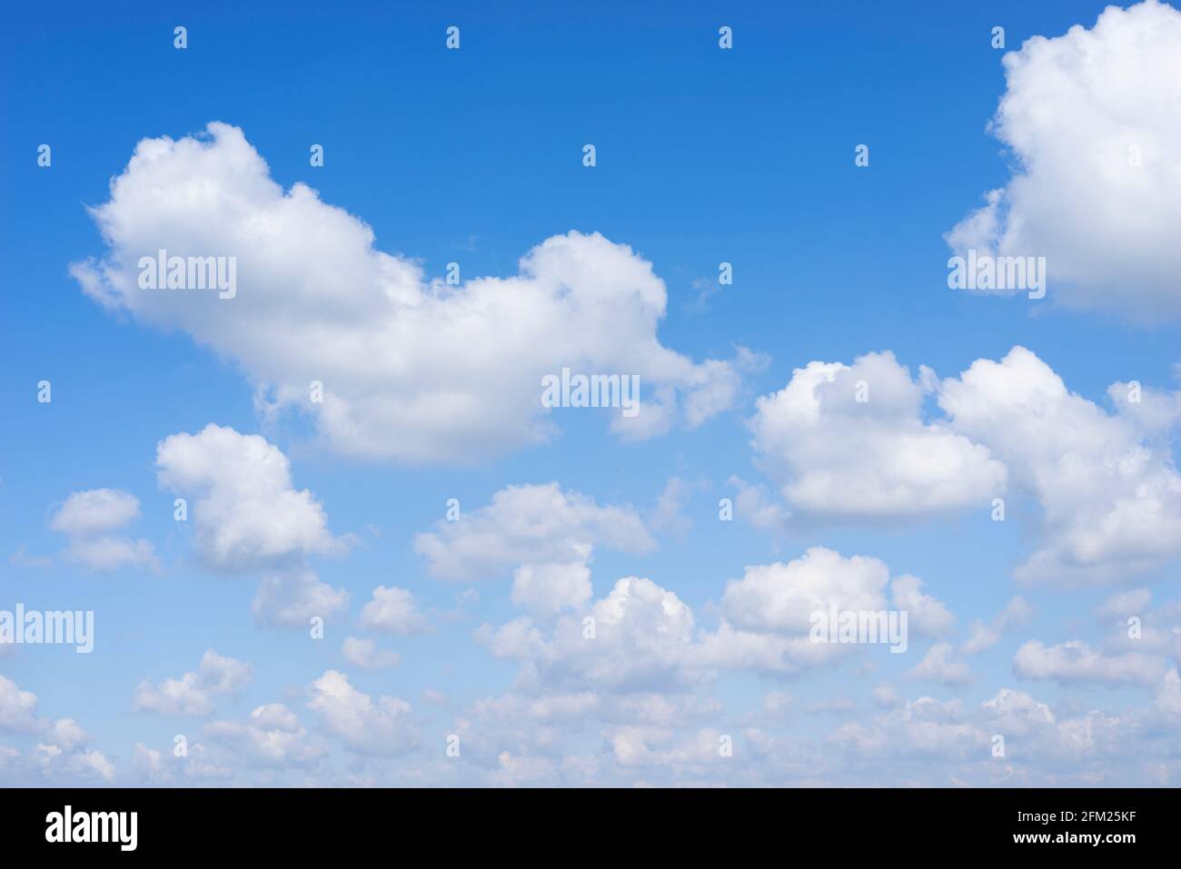 Cumulus clouds in a Blue sky with white fluffy clouds background white clouds blue sky white clouds only uk Stock Photo