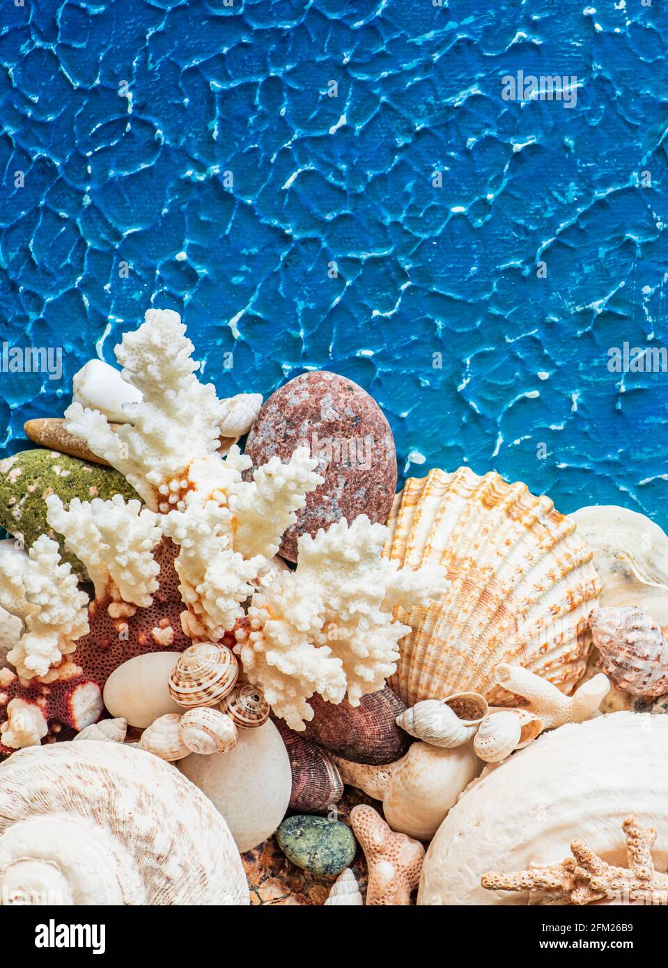 sea shells on blue background Stock Photo