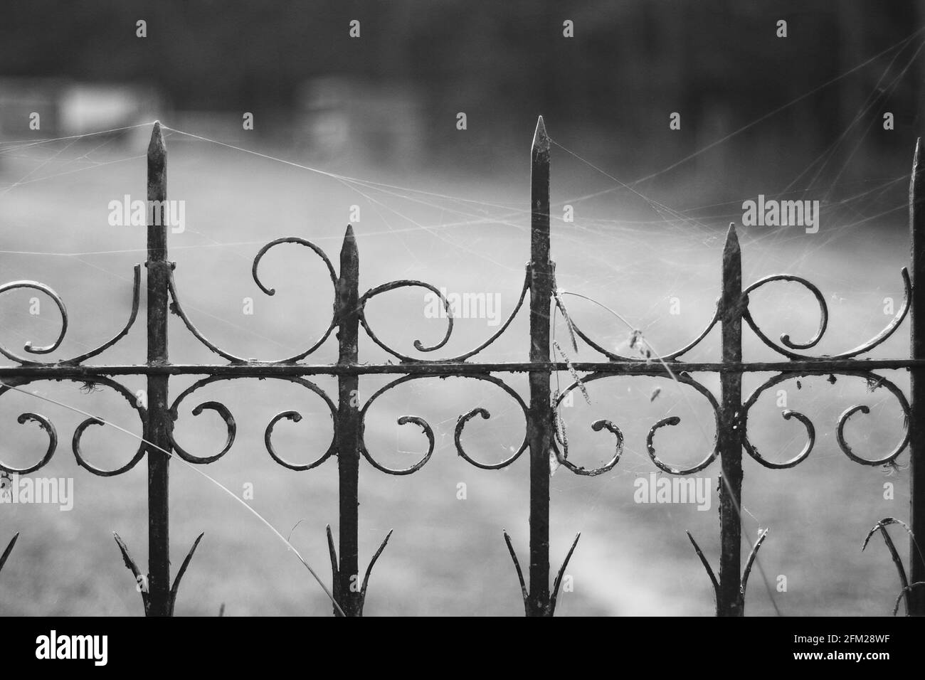 wrought iron fence in black and white Stock Photo - Alamy