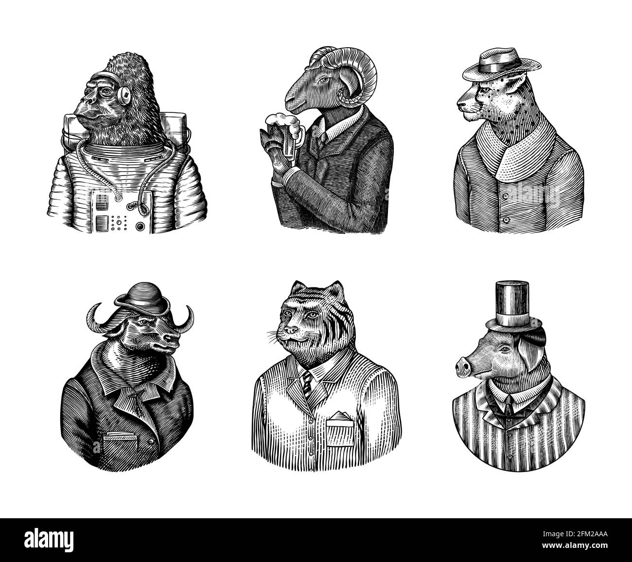 Gorilla monkey astronaut. Sheep drinks beer. Cheetah in coat. Buffalo Bull in hat tiger doctor in a suit. Pig hairdresser or vitorian gentleman Stock Vector