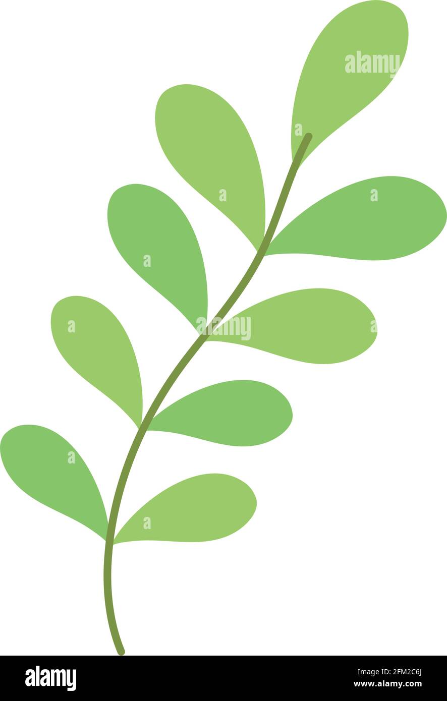 leaves vegetation branch isolated icon Stock Vector Image & Art - Alamy