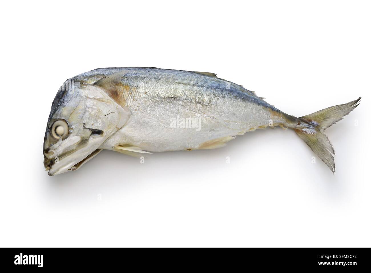 thai steamed short mackerel islated on white background Stock Photo - Alamy