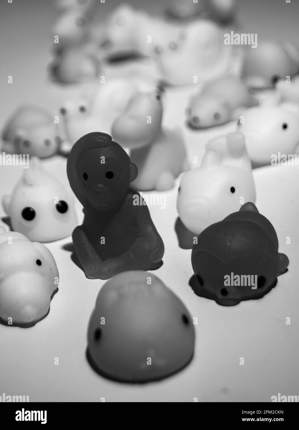 Black and white racism or be different photo concept of small animals, squishies Stock Photo
