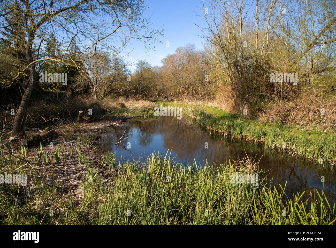 Hampshire, England, UK. 2021. The River Test close to Stockbridge in ...