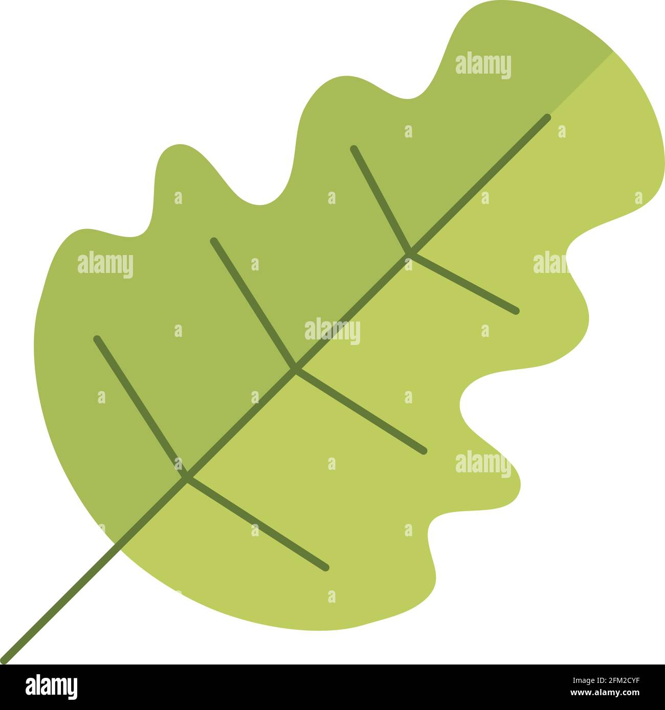 leaf vegetation nature isolated icon Stock Vector Image & Art - Alamy