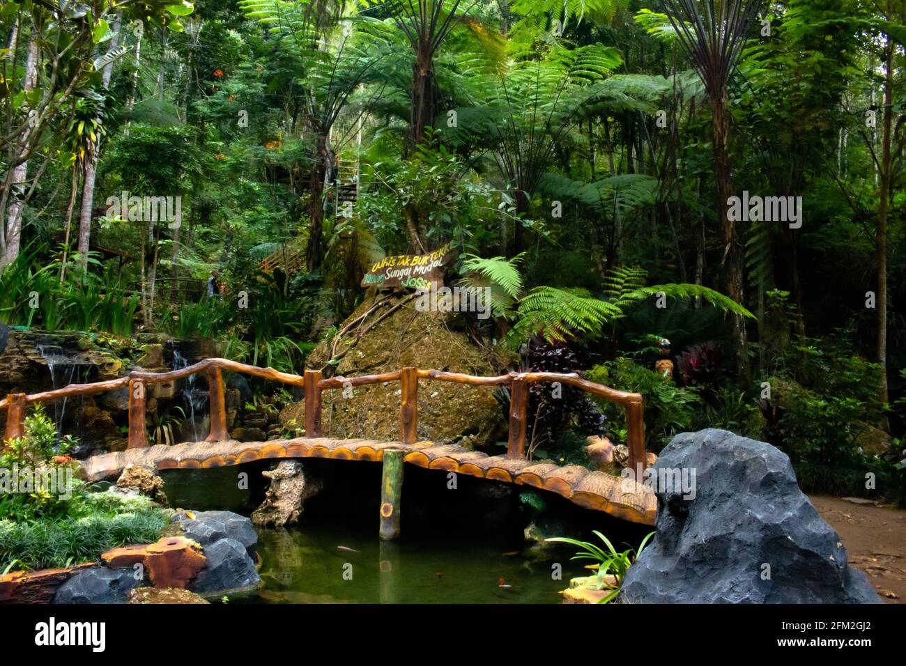 A bamboo bridge at a fish pond in the rain forest of Mudal river area Stock  Photo - Alamy, image size:1300x956