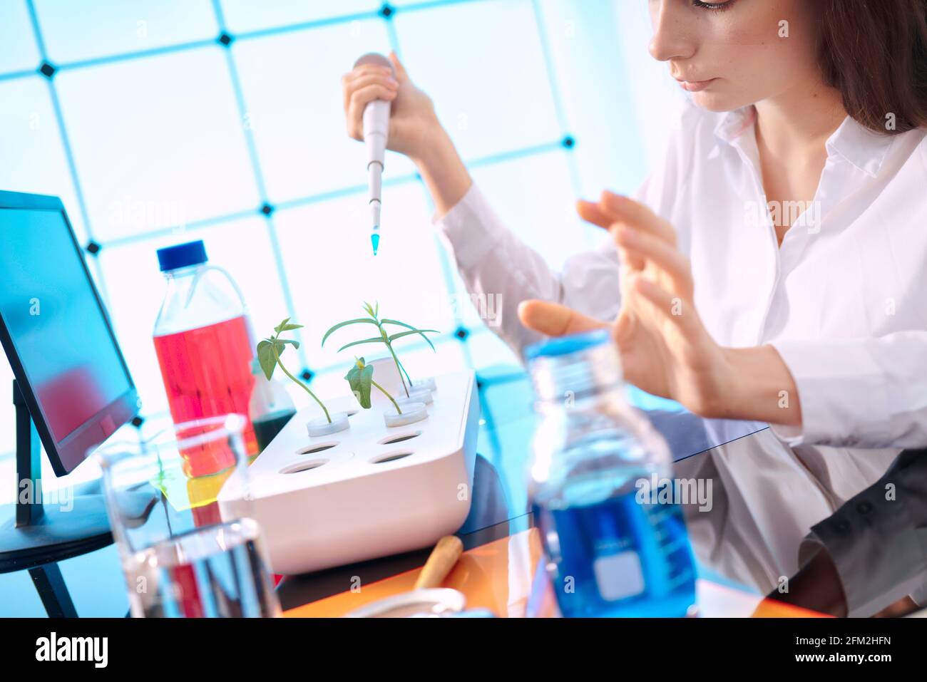 Young woman with a pipette in a plant laboratory. Study of the effect of fertilizers and growth accelerators on plants Stock Photo