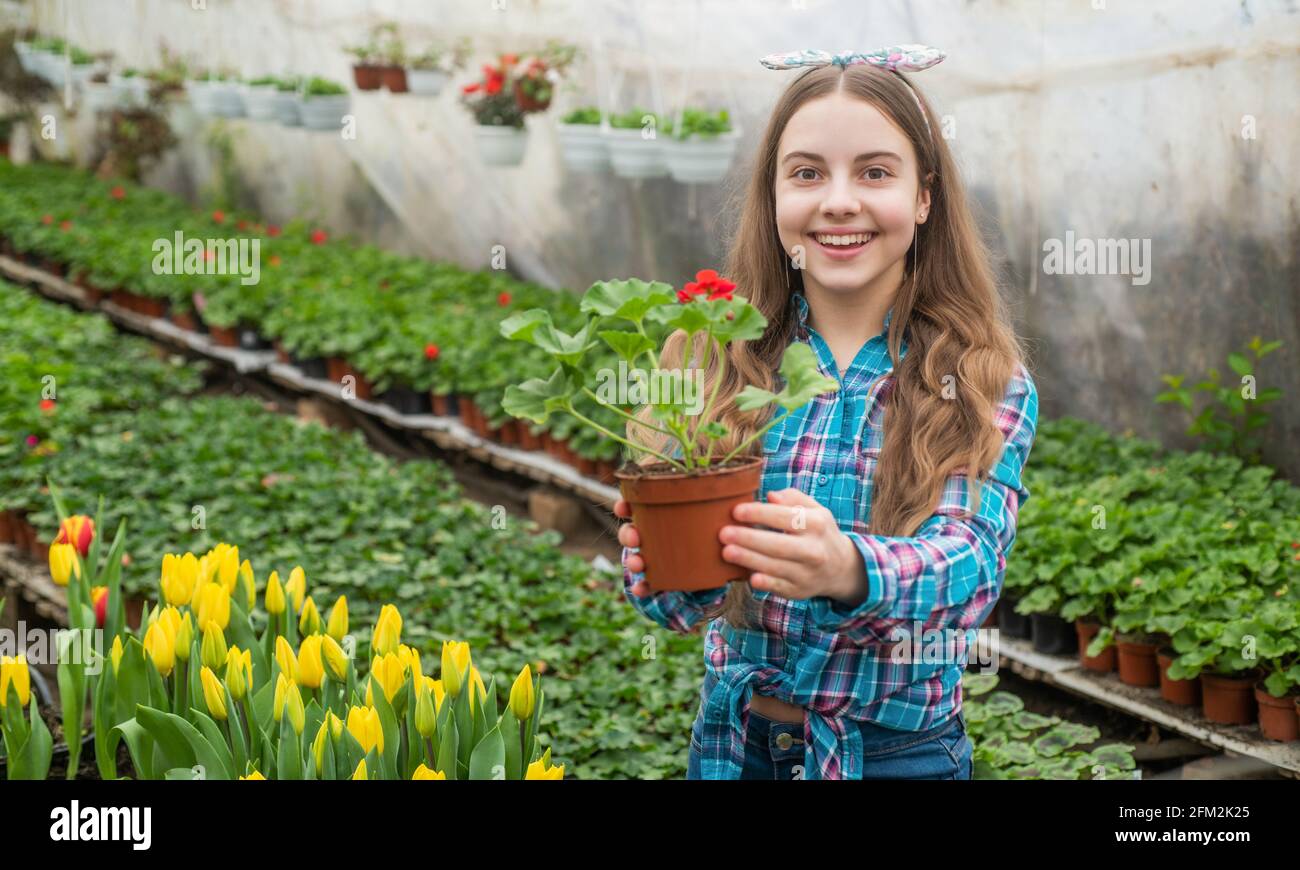 happy teen girl florist planting pot plants in greenhouse