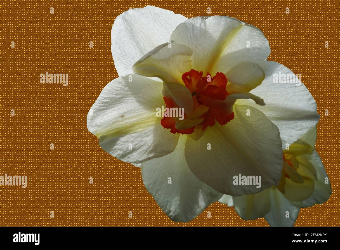 Insistent hi-res stock photography and images - Alamy