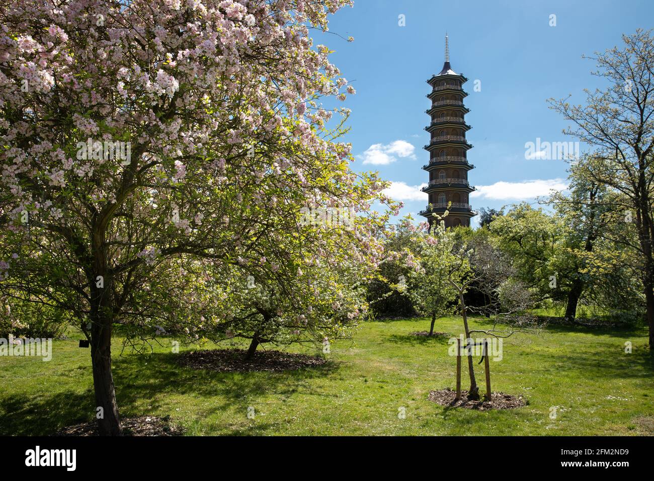 The Great Pagoda, Kew Royal Botanic Gardens, London, Uk Stock Photo