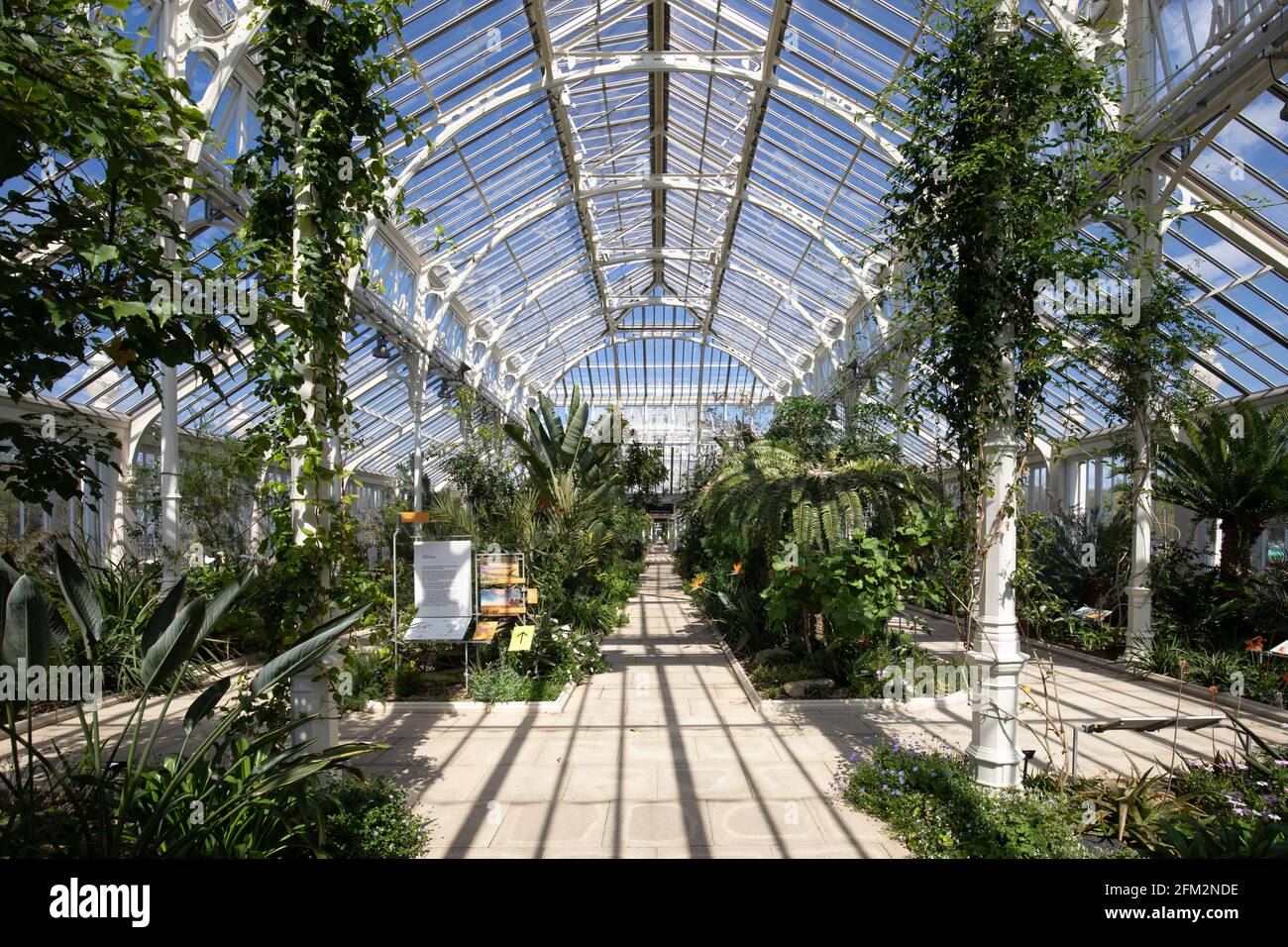 The Temperate House, Kew Royal Botanic Gardens, London, Uk Stock Photo