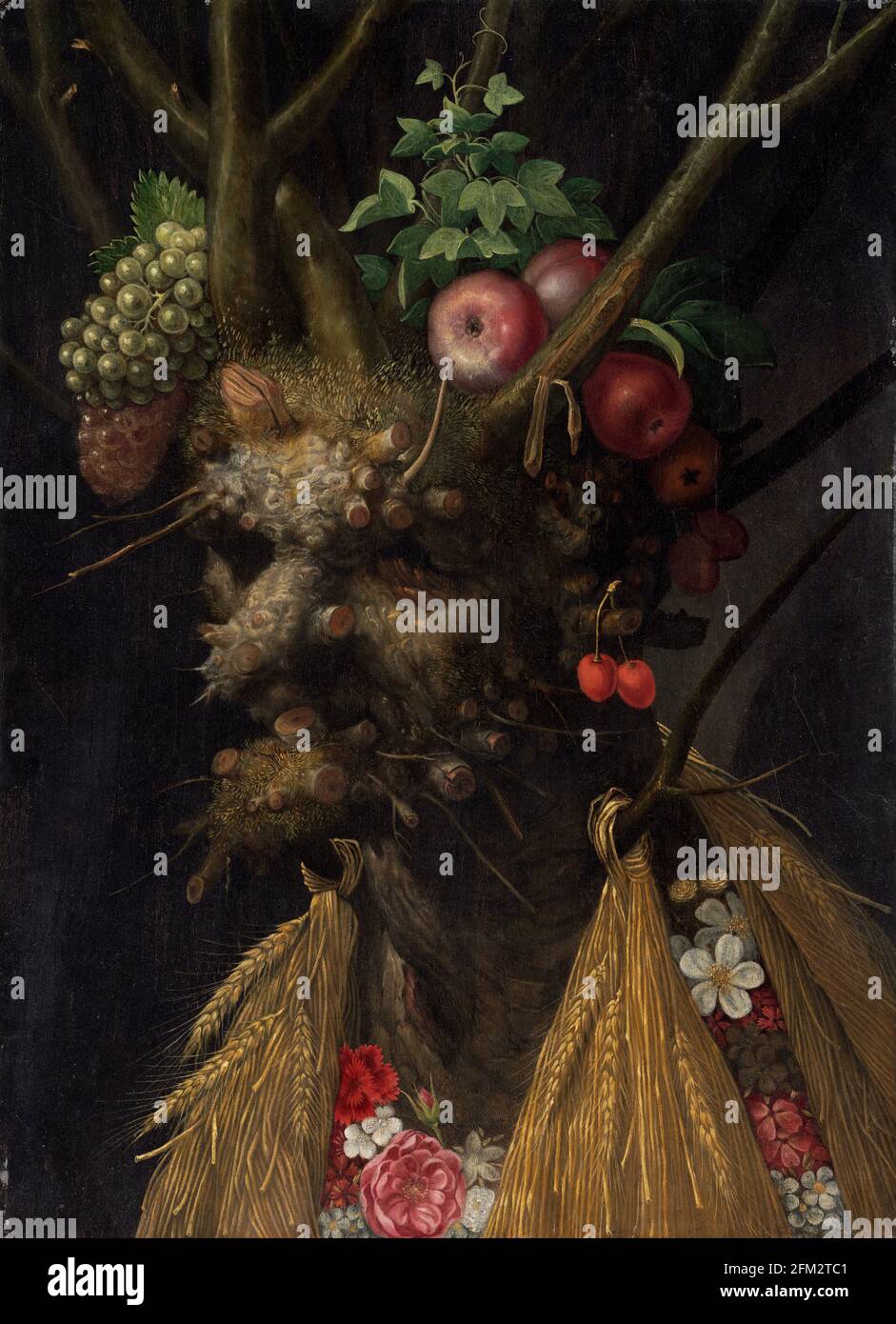 Title: Four Seasons in One Head Creator:  Giuseppe Arcimboldo Date: c. 1590 Medium: oil on panel Dimensions: 60.4 x 44.7 cm  Location: National Gallery of Art, Washington Stock Photo