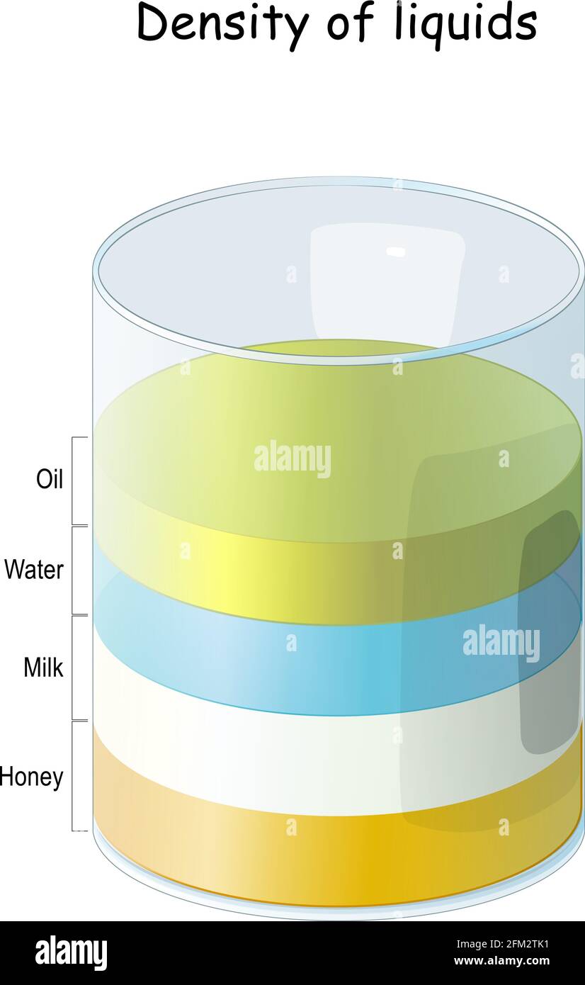 Density of Liquids. laboratory experiment with beaker, and Honey, Milk Water, and Oil. learn physics and chemistry. Vector illustration Stock Vector