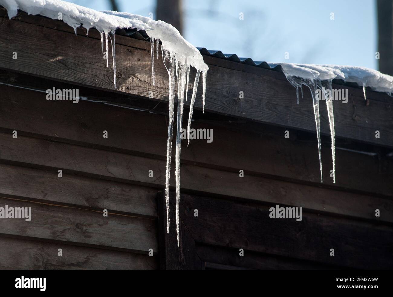 icicles on a roof in a sunny winter day Stock Photo