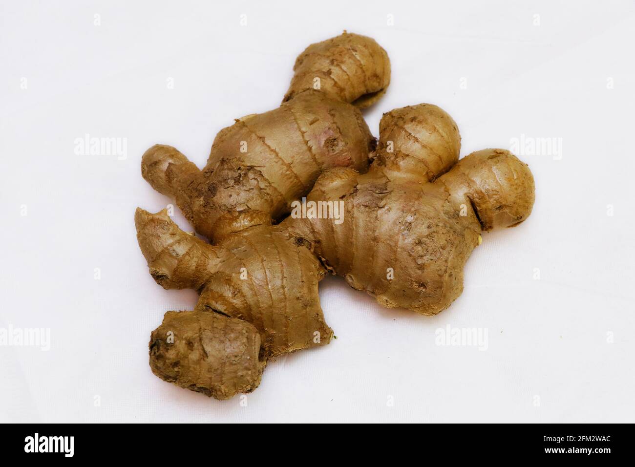 fresh ginger root on a white background Stock Photo