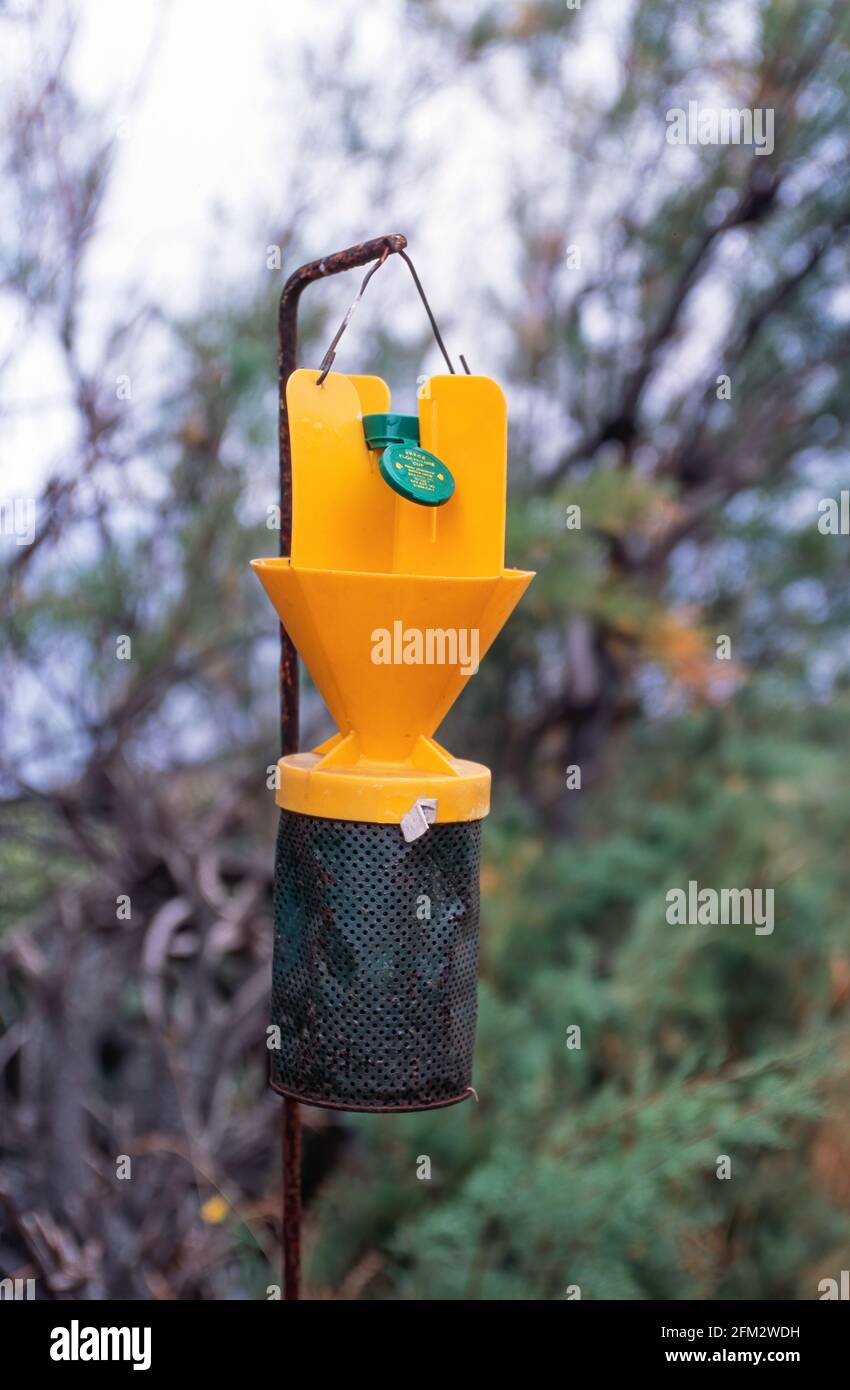 Control Harmful Insects High Resolution Stock Photography and Images Alamy