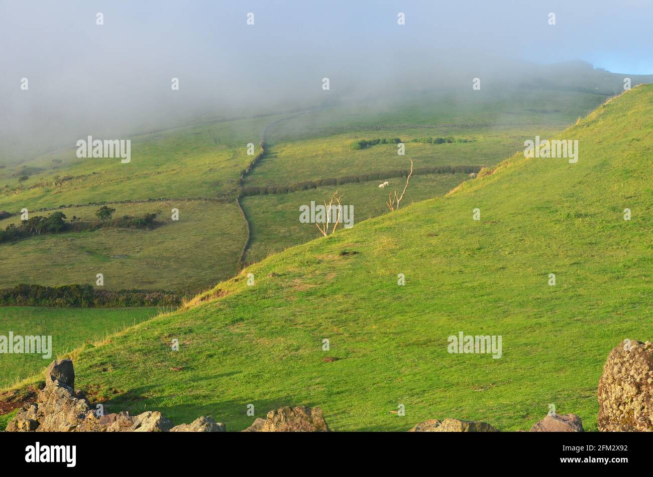 Rural landscapes in Pico volcano’s mid-slope, Azores archipelago, Portugal Stock Photo