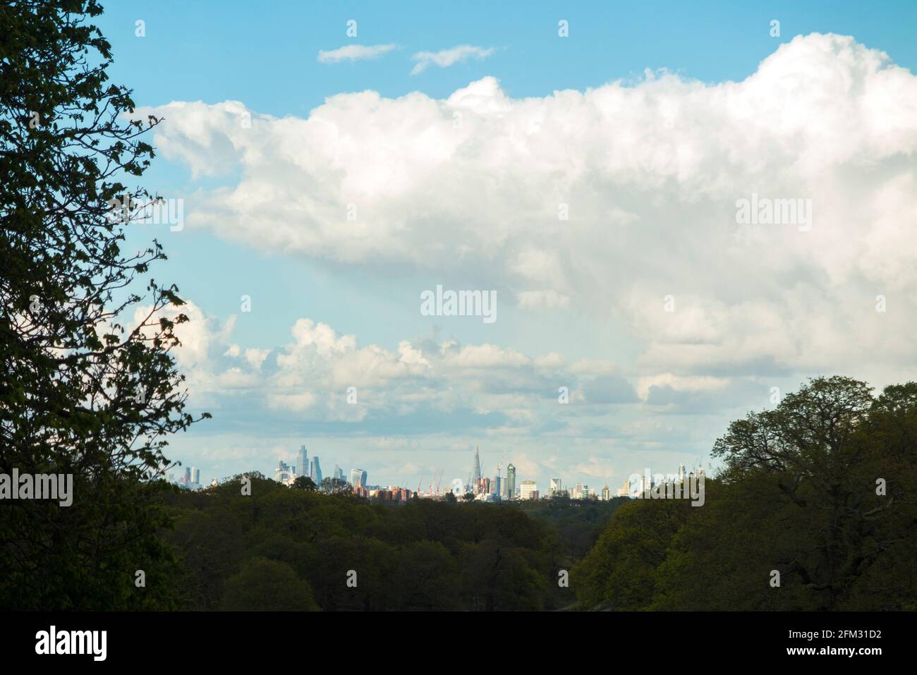 A good weather - with blue sky and bubbling clouds - distant view of London (Westminster would be to the left, City more to the centre: note The Shard, and Docklands to the right) through trees in Richmond Park, Richmond upon Thames, Surrey. UK. (123) Stock Photo