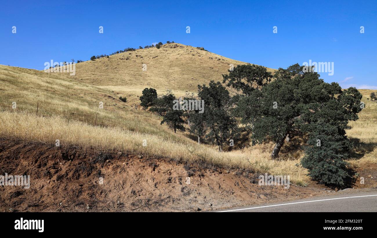 Grassy hills are seen on the sides of Millwood Dr (SR 245) in Woodlake California Stock Photo