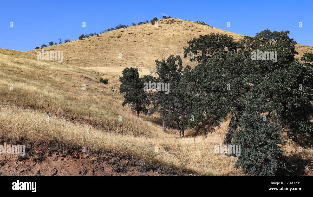 Grassy hills are seen on the sides of Millwood Dr (SR 245) in Woodlake California Stock Photo