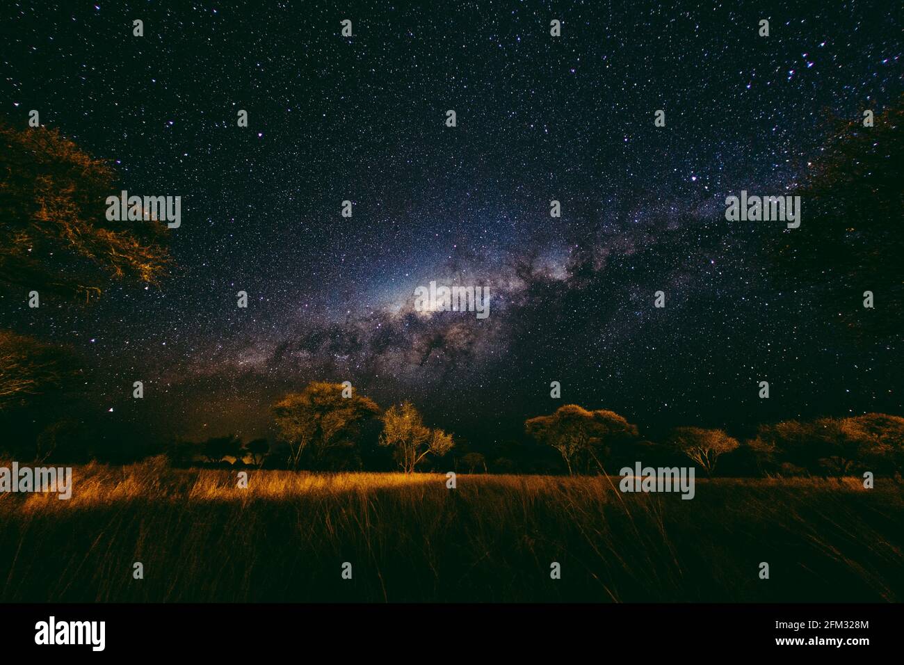 Milky way night sky over African plains, Namibia Stock Photo
