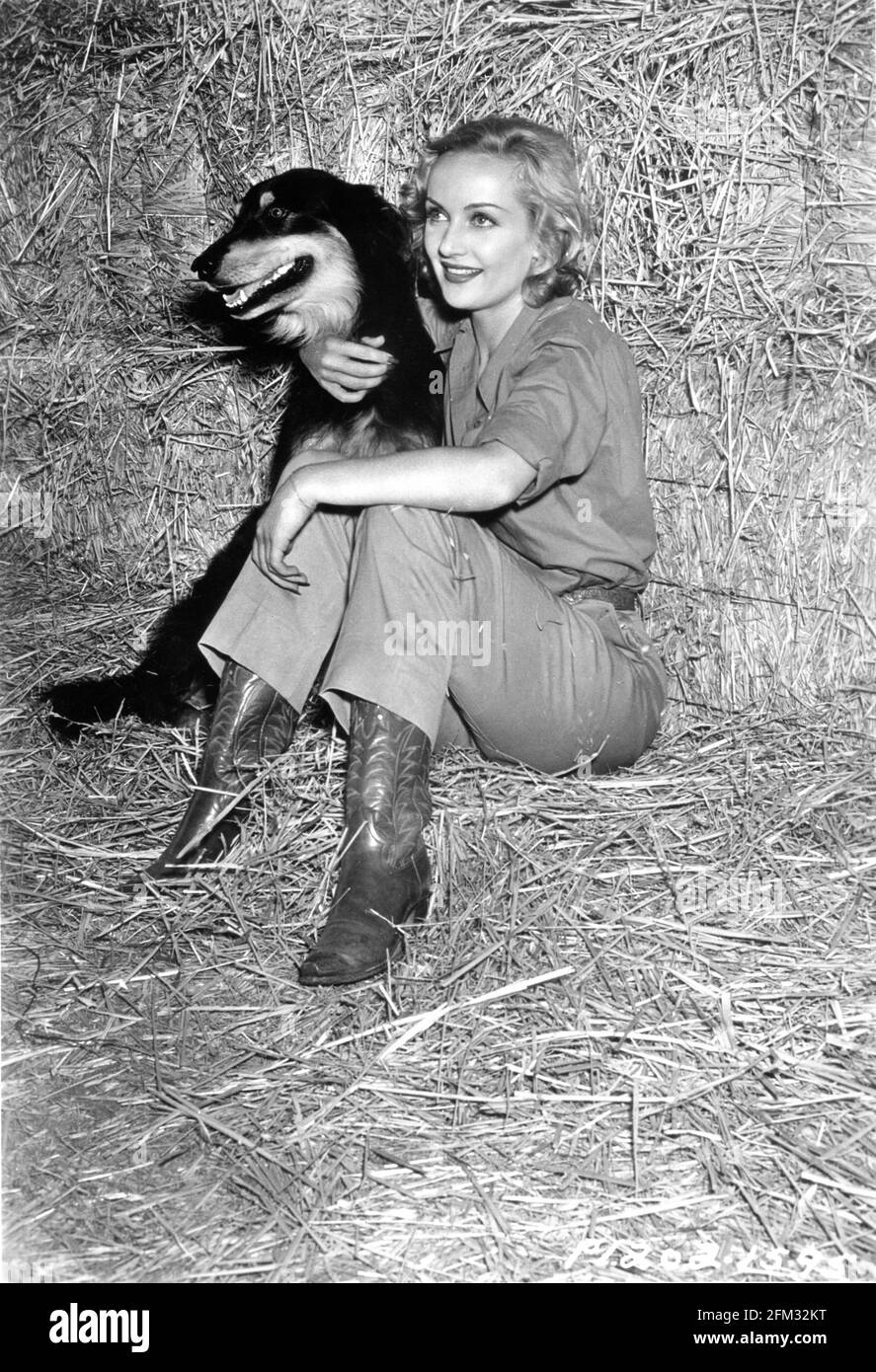 CAROLE LOMBARD 1937 candid portrait with her black and tan Shepherd dog PANCHO on her ranch on the outskirts of Hollywood publicity for Paramount Pictures Stock Photo